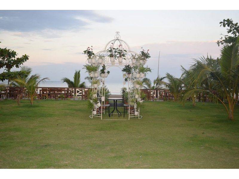 garden facing beach