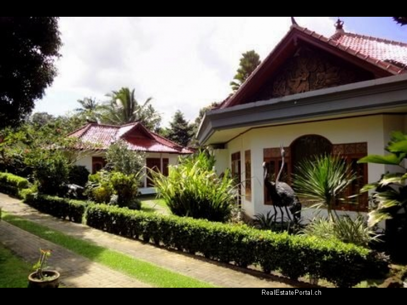 tabanan real estate for sale (20)